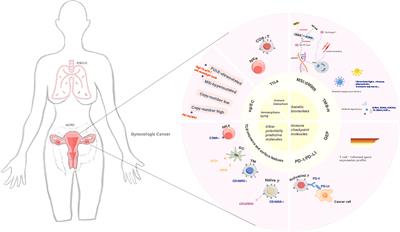 Evaluation of immunotherapy efficacy in gynecologic cancer